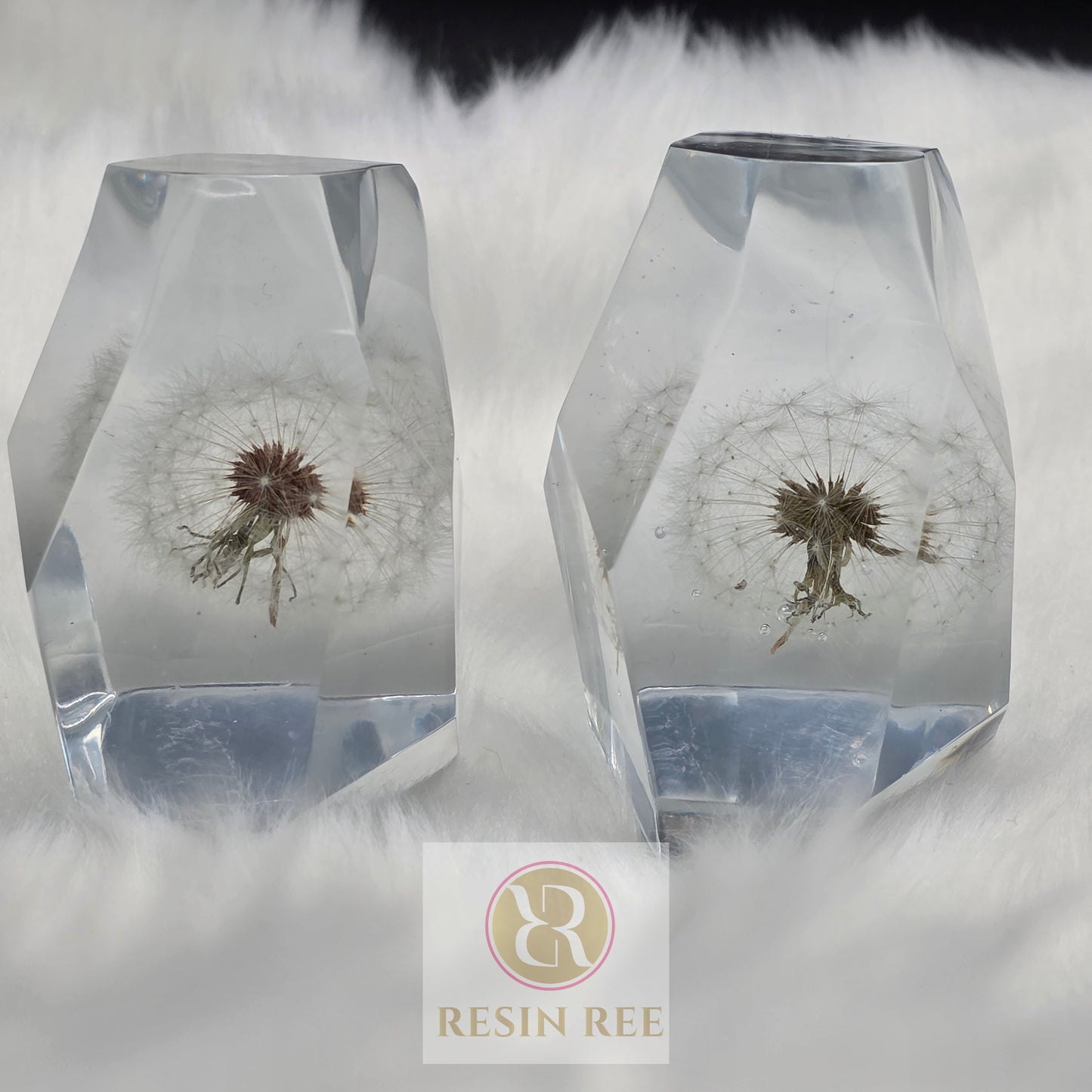 Frozen Wishes – Dandelion Crystal Resin Set