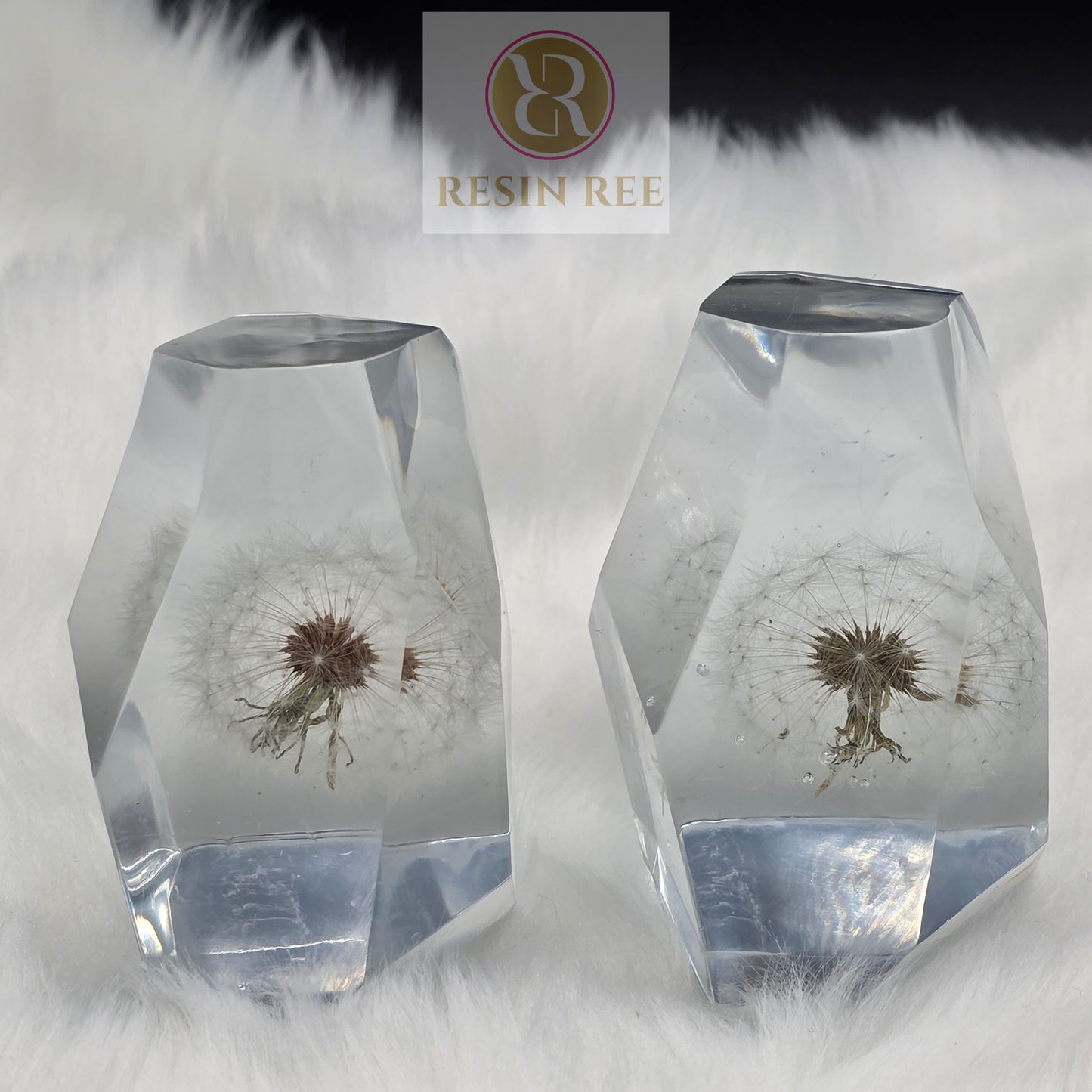 Frozen Wishes – Dandelion Crystal Resin Set