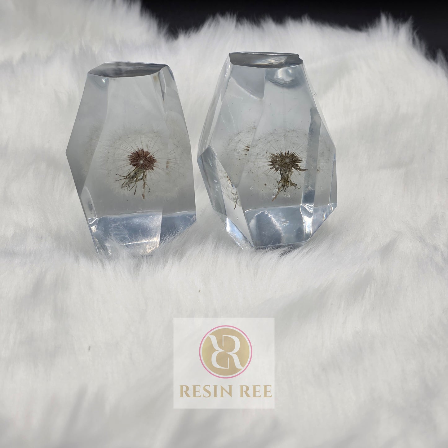 Frozen Wishes – Dandelion Crystal Resin Set