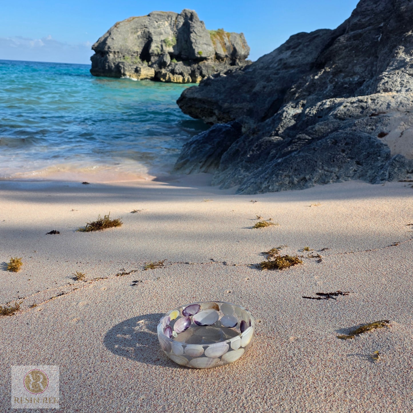 🐚🐚Shell We Dance🐚🐚