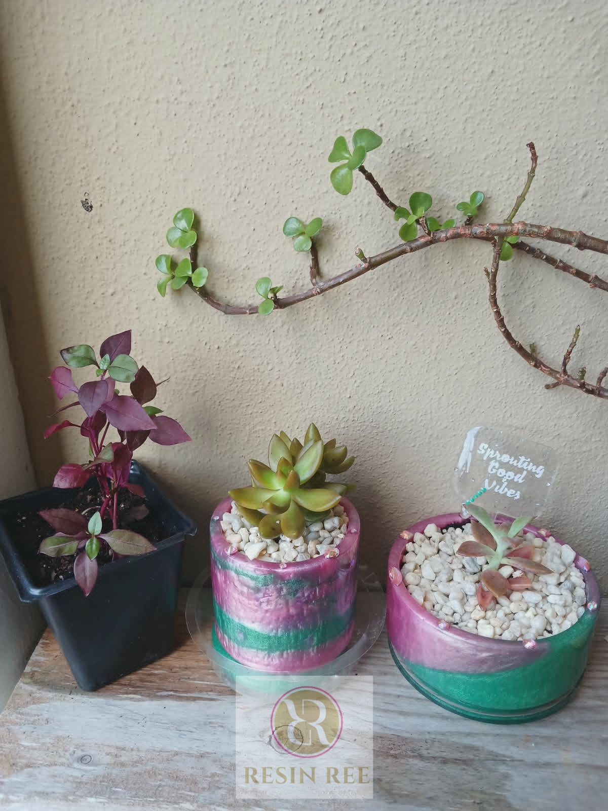 Emerald Blush Luxe Planter Pot with Matching Tray