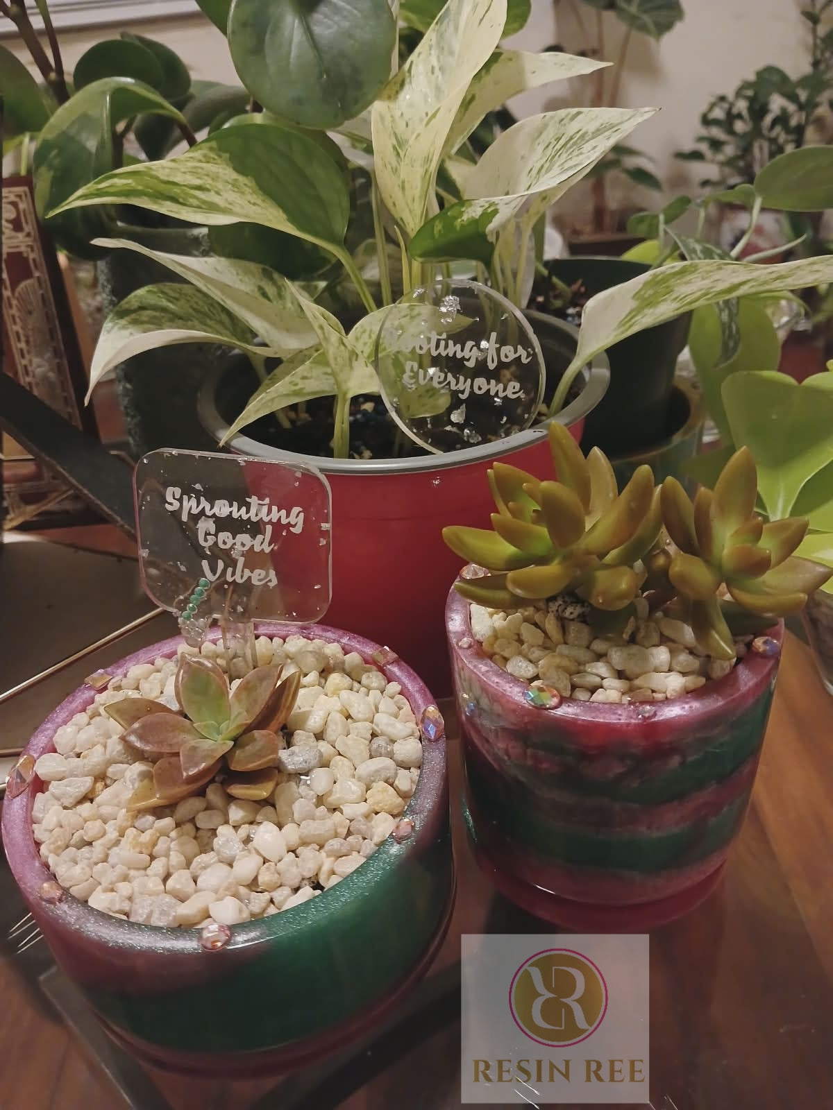 Emerald Blush Luxe Planter Pot with Matching Tray